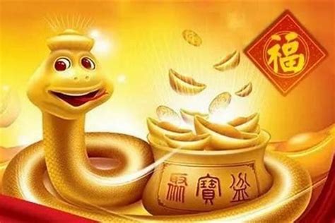 蛇年是哪一年|蛇年是哪年 属蛇的是哪一年出生的